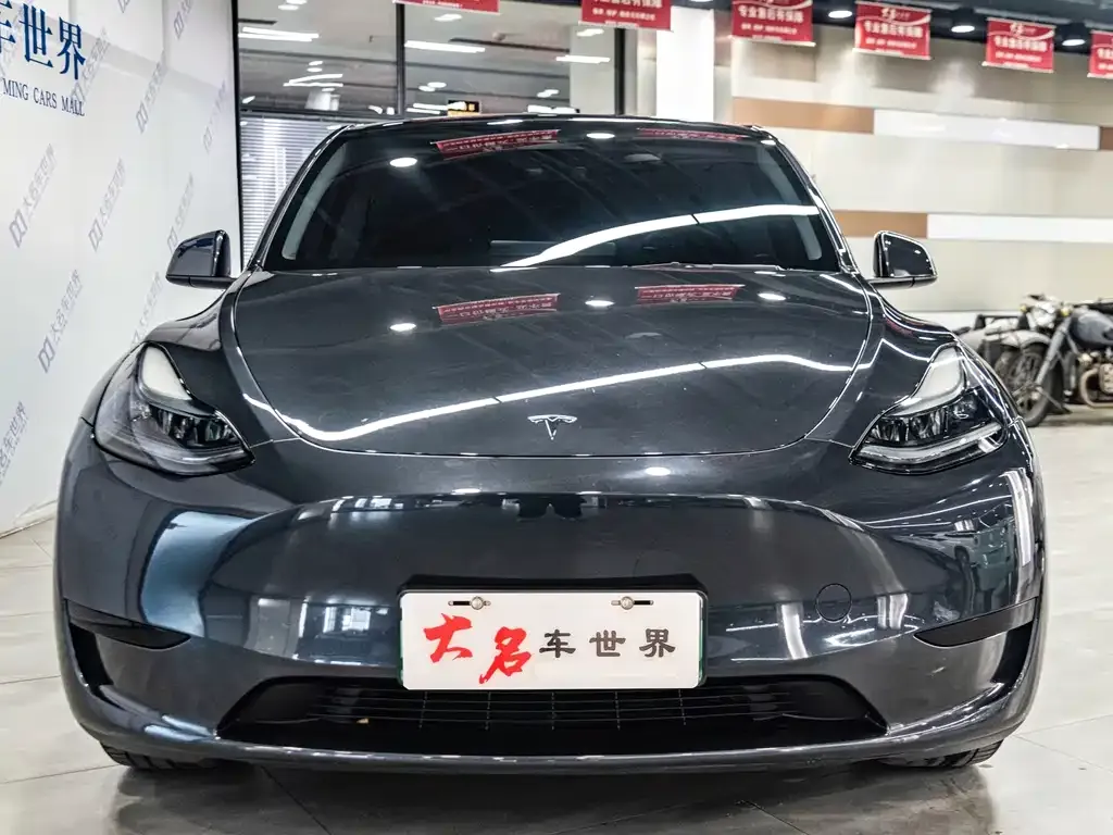 Tesla Model Y — фото 8