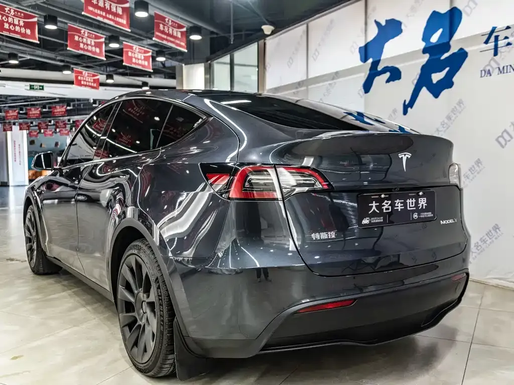 Tesla Model Y — фото 3