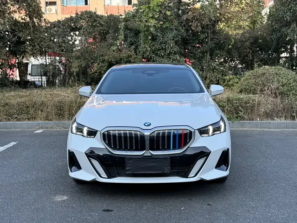 BMW 5 Series 2024 из CN, фото 10