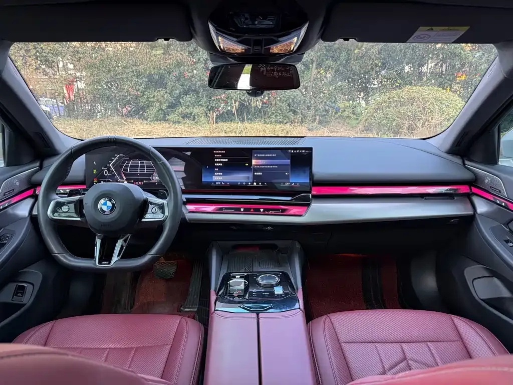 BMW 5 Series 2024 из CN, фото 8