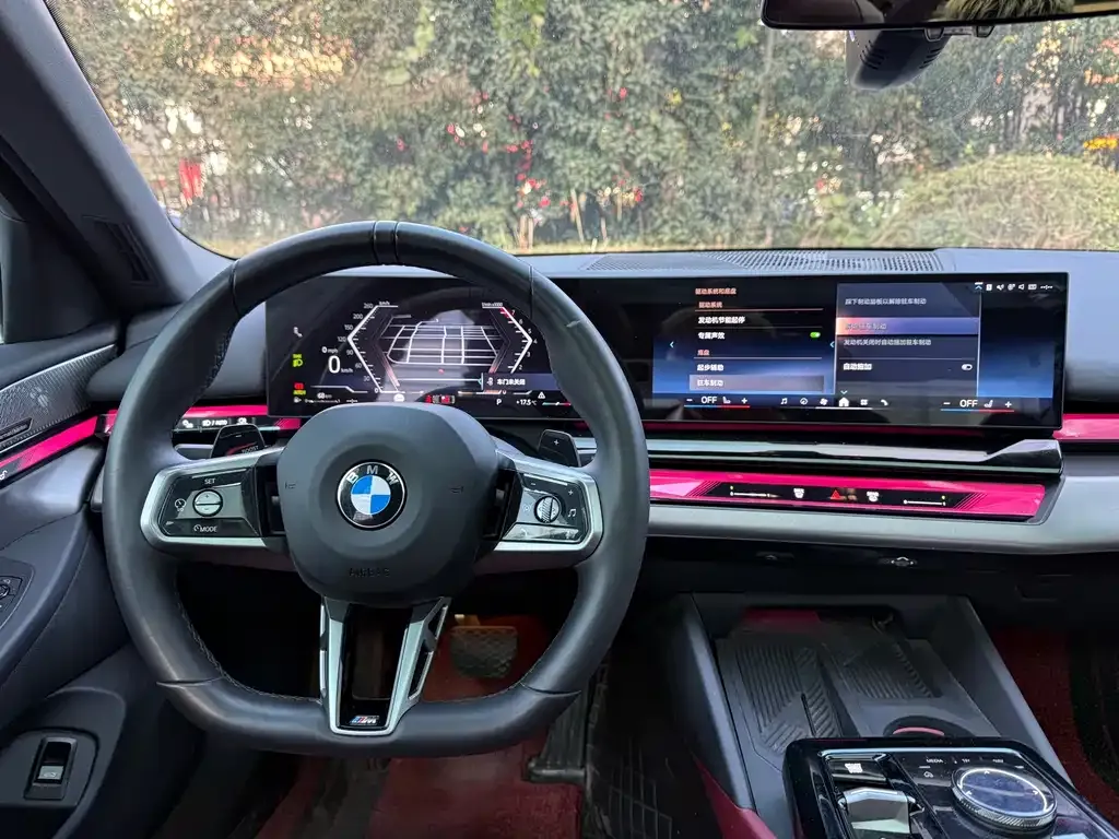BMW 5 Series 2024 из CN, фото 5