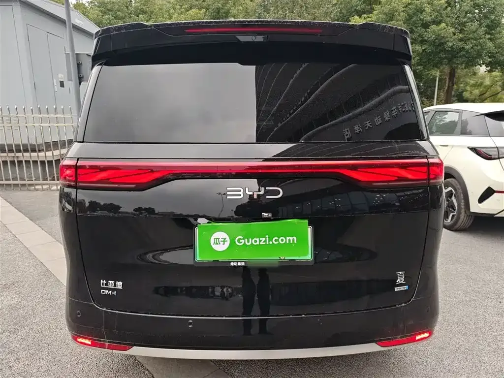 BYD Xia 2025 из CN, фото 4