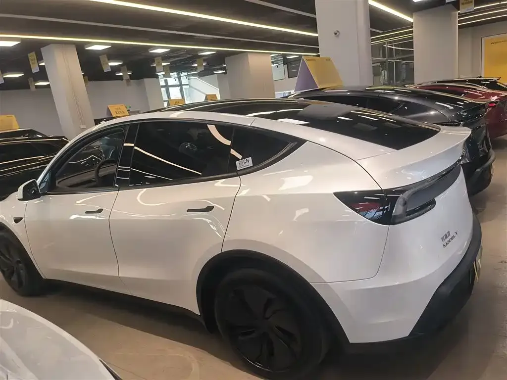 Tesla Model Y 2025 из CN, фото 9