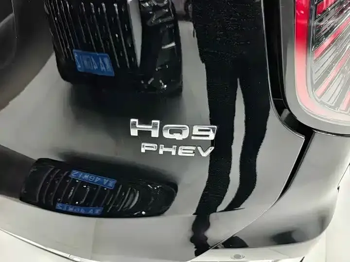 Hongqi HQ9 PHEV 2024 из CN, фото 3