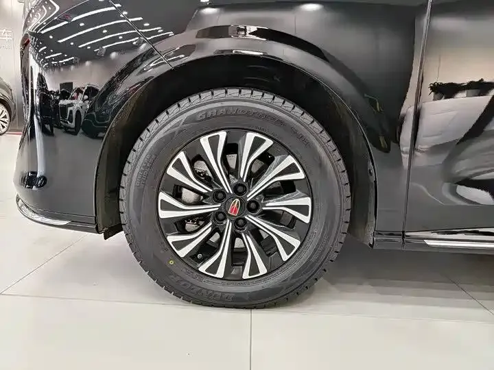 Hongqi HQ9 PHEV 2024 из CN, фото 8