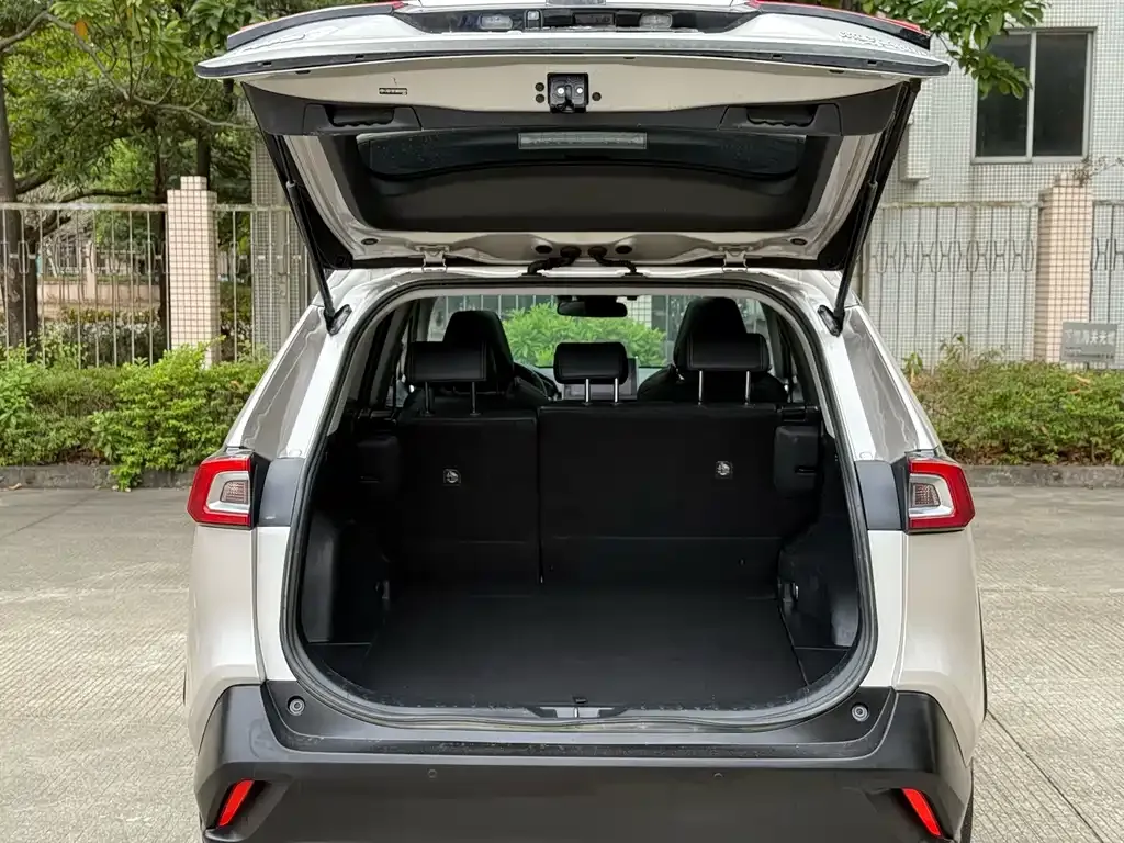 Toyota Wildlander New Energy 2021 из CN, фото 6