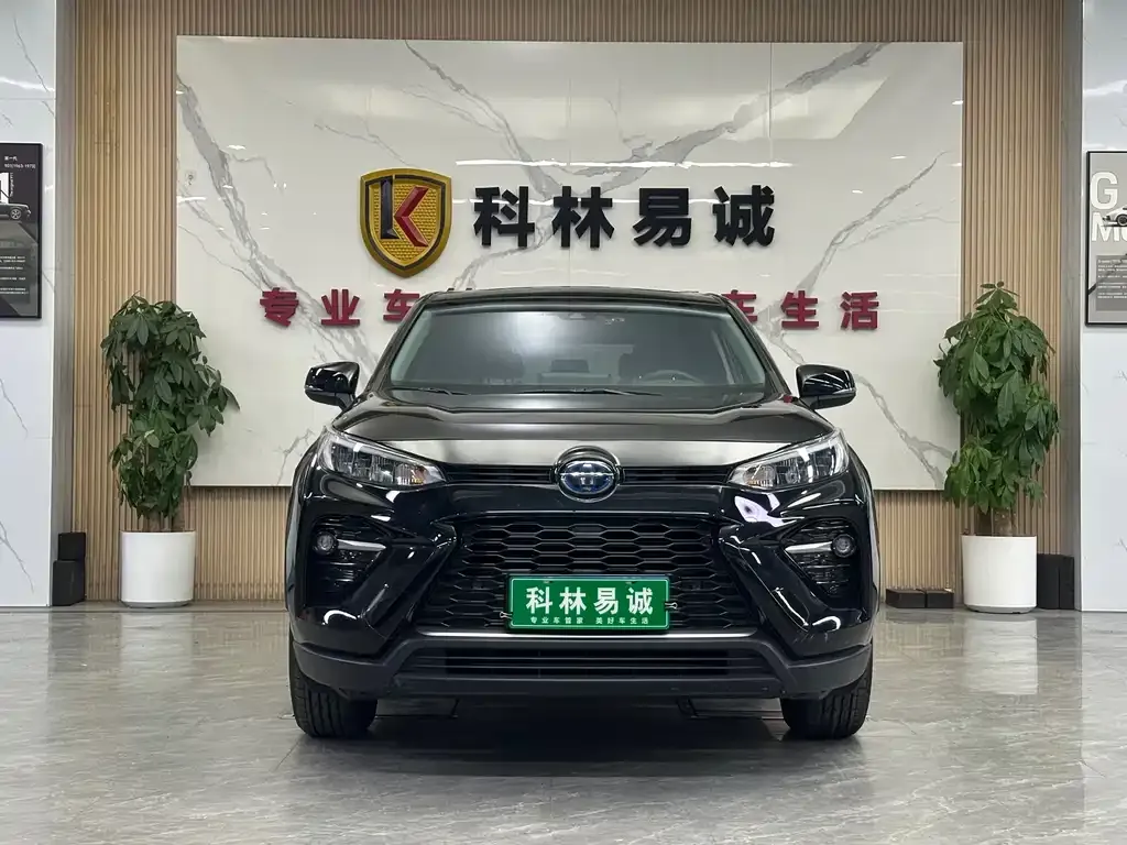 Toyota Wildlander 2021 из CN, фото 2