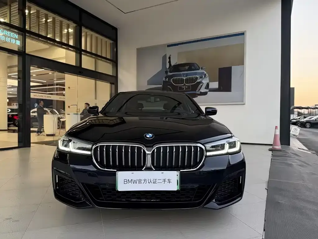BMW 5 Series New Energy — фото 8