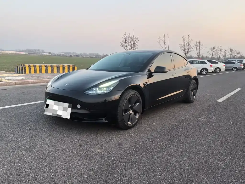 Tesla Model 3 — фото 1