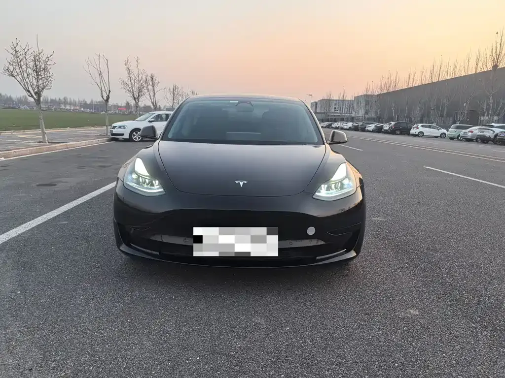 Tesla Model 3 — фото 2