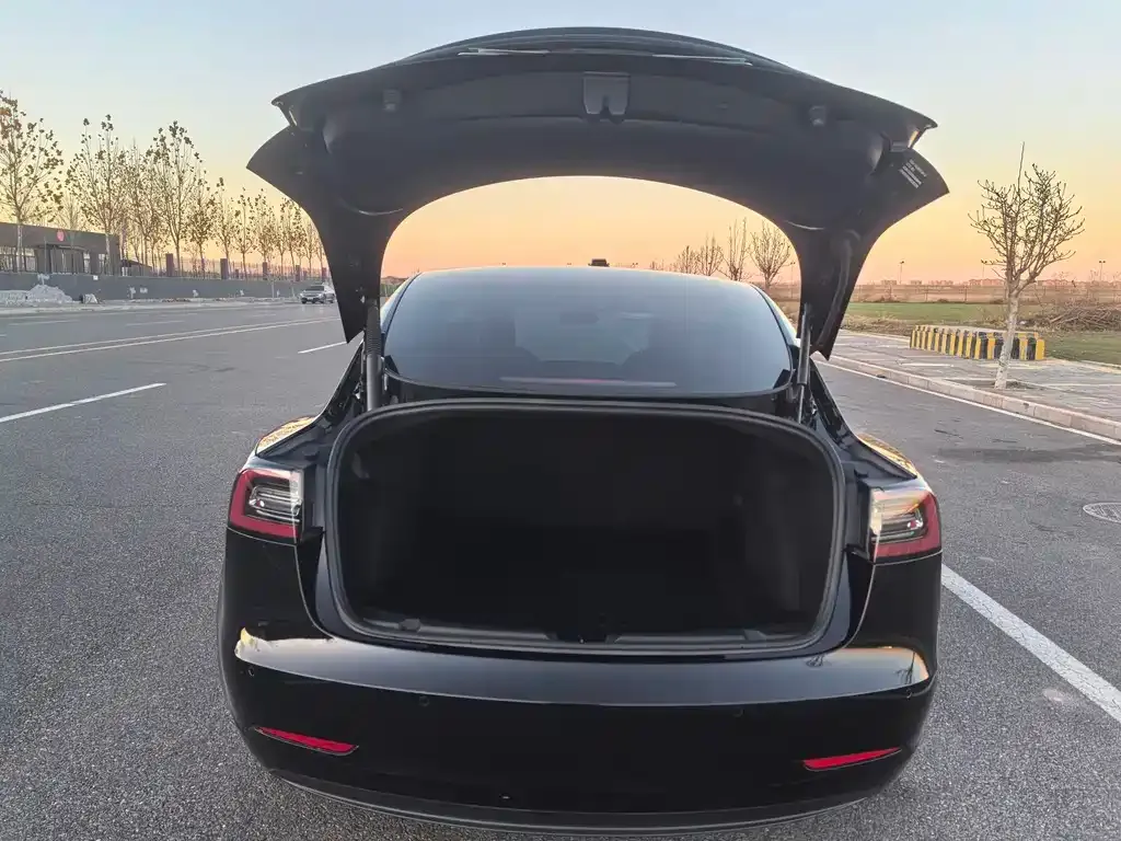 Tesla Model 3 — фото 9