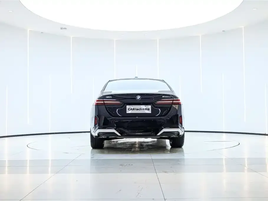 BMW 5 Series 2024 из CN, фото 6