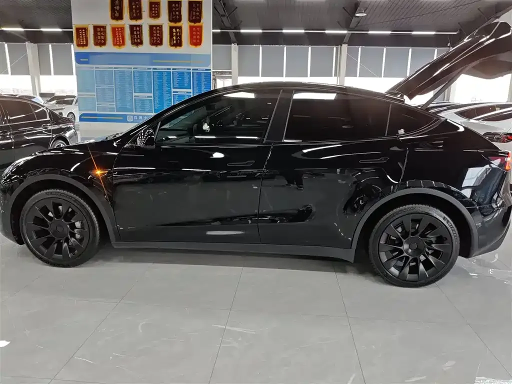 Tesla Model Y 2023 из CN, фото 2