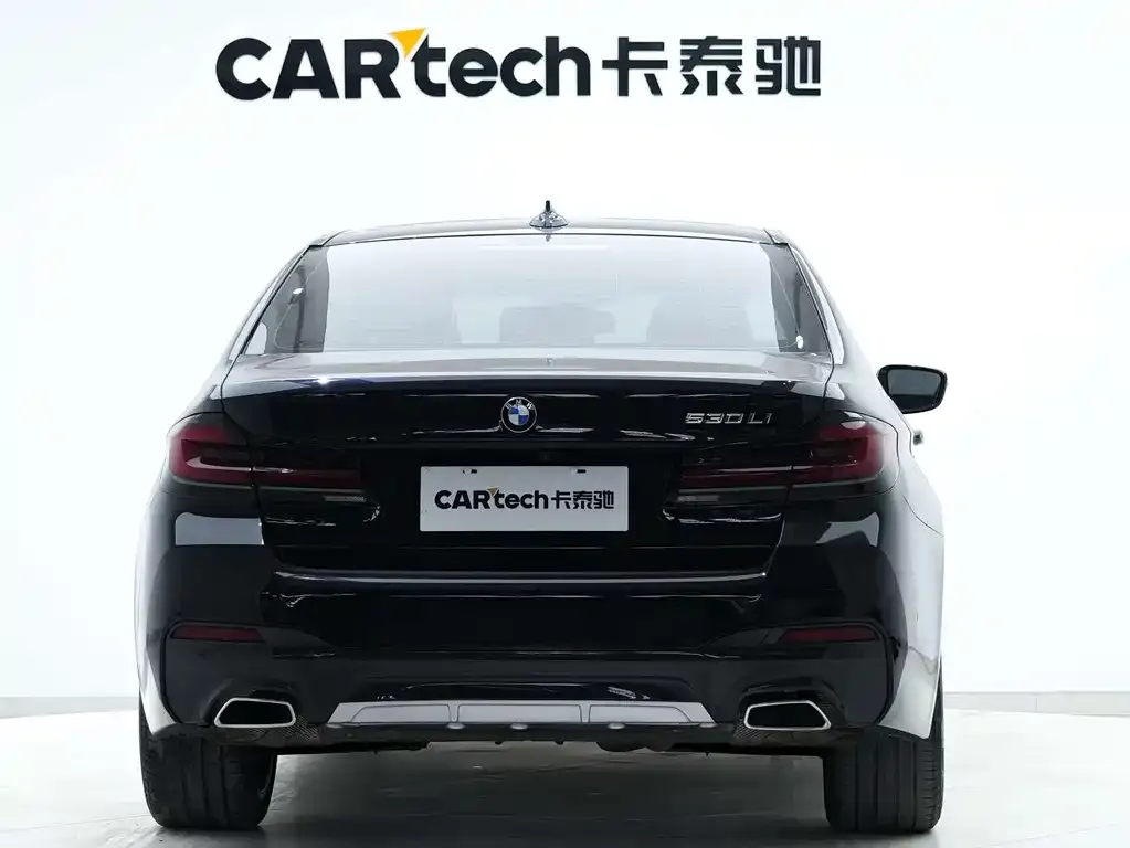 BMW 5 Series 2021 из CN, фото 3