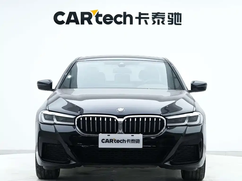 BMW 5 Series 2021 из CN, фото 5