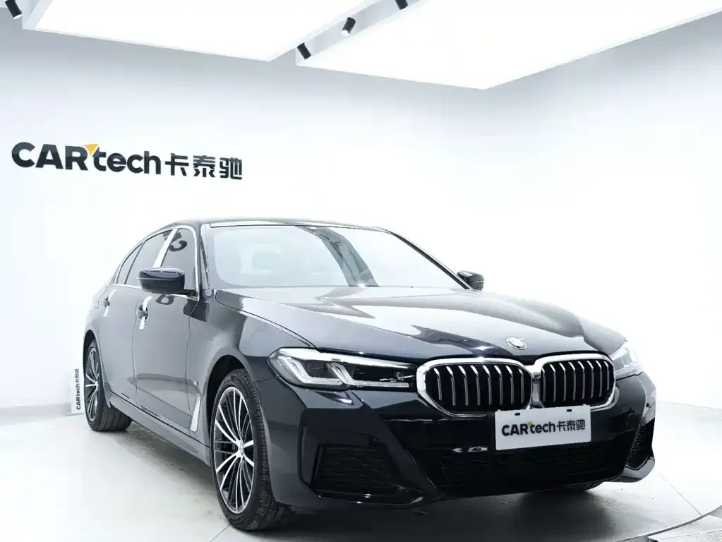 BMW 5 Series 2021 из CN, фото 8
