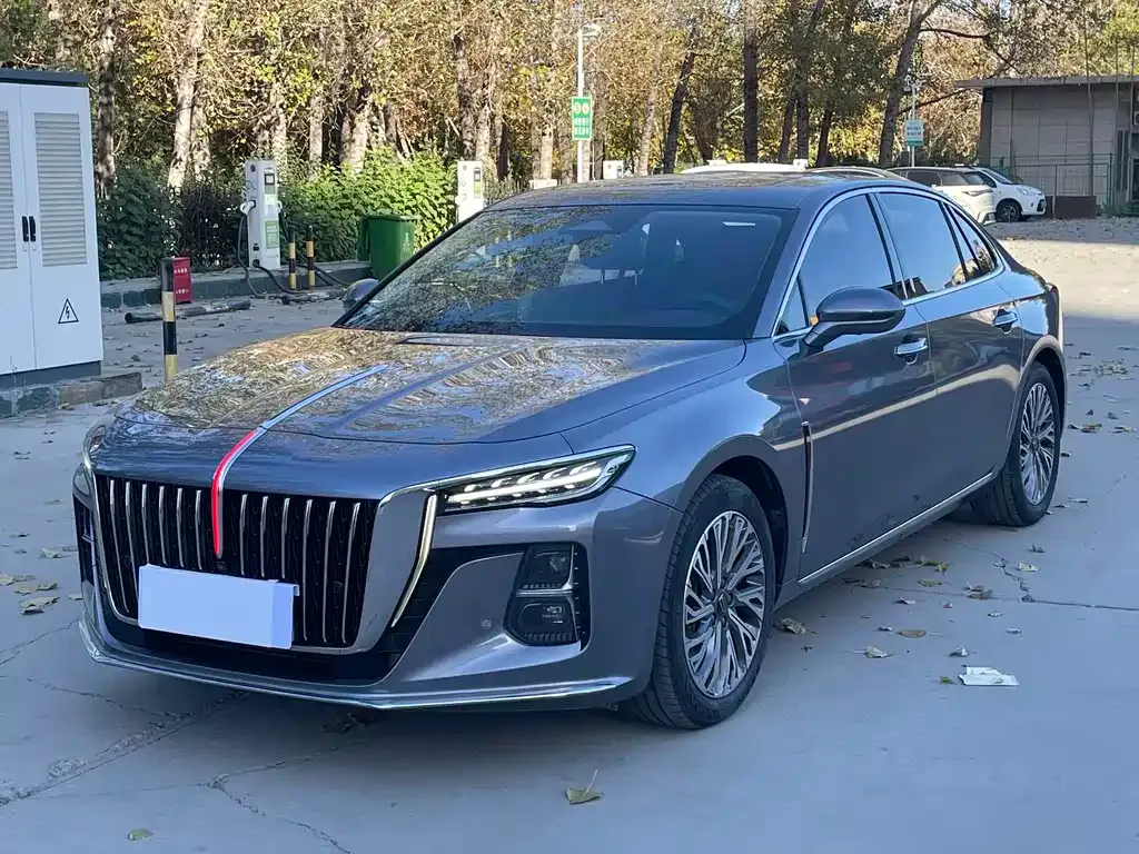 Hongqi H5 2023 из CN, фото 1