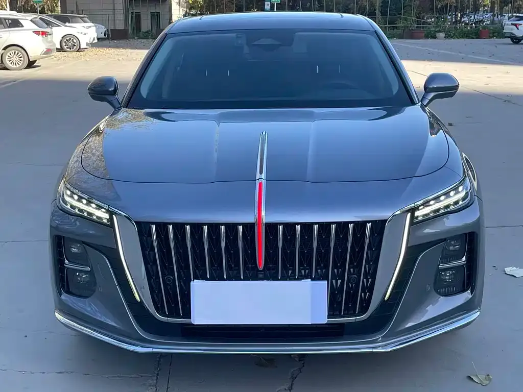 Hongqi H5 2023 из CN, фото 2