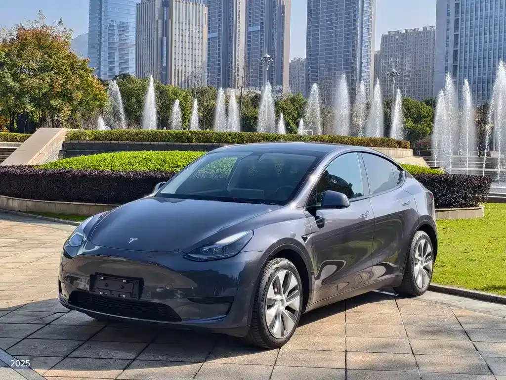 Tesla Model Y 2022 из CN, фото 1