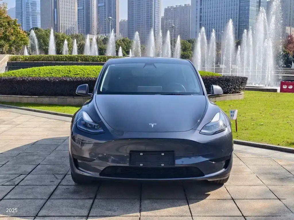 Tesla Model Y 2022 из CN, фото 2