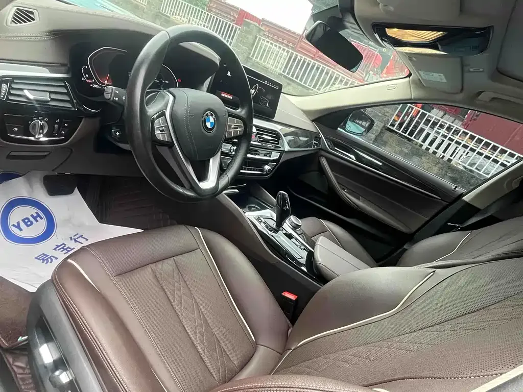 BMW 5 Series 2022 из CN, фото 7
