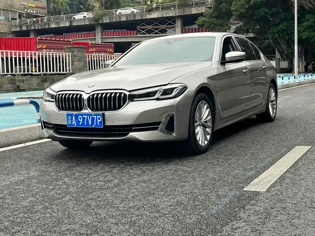 BMW 5 Series 2022 из CN, фото 10