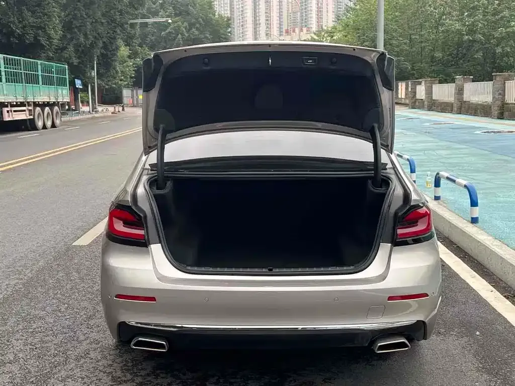 BMW 5 Series 2022 из CN, фото 3