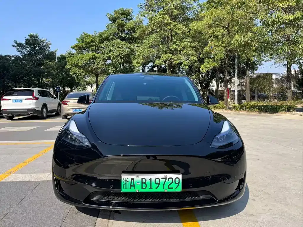 Tesla Model Y 2022 из CN, фото 7