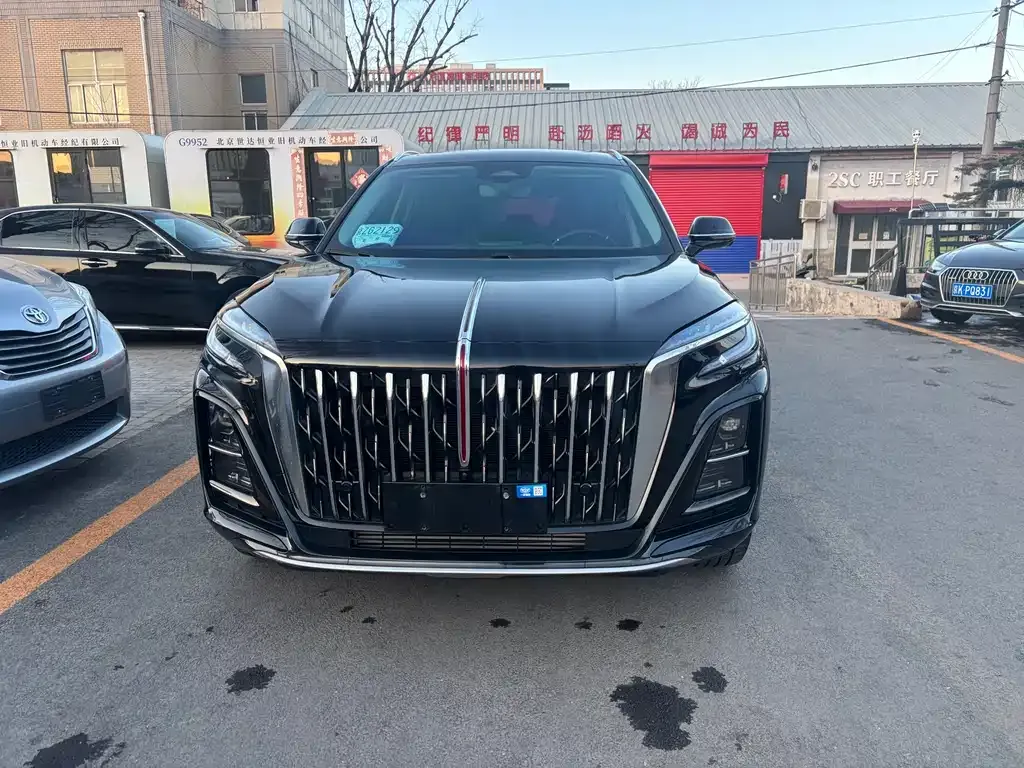 Hongqi HS3 PHEV 2024 из CN, фото 6