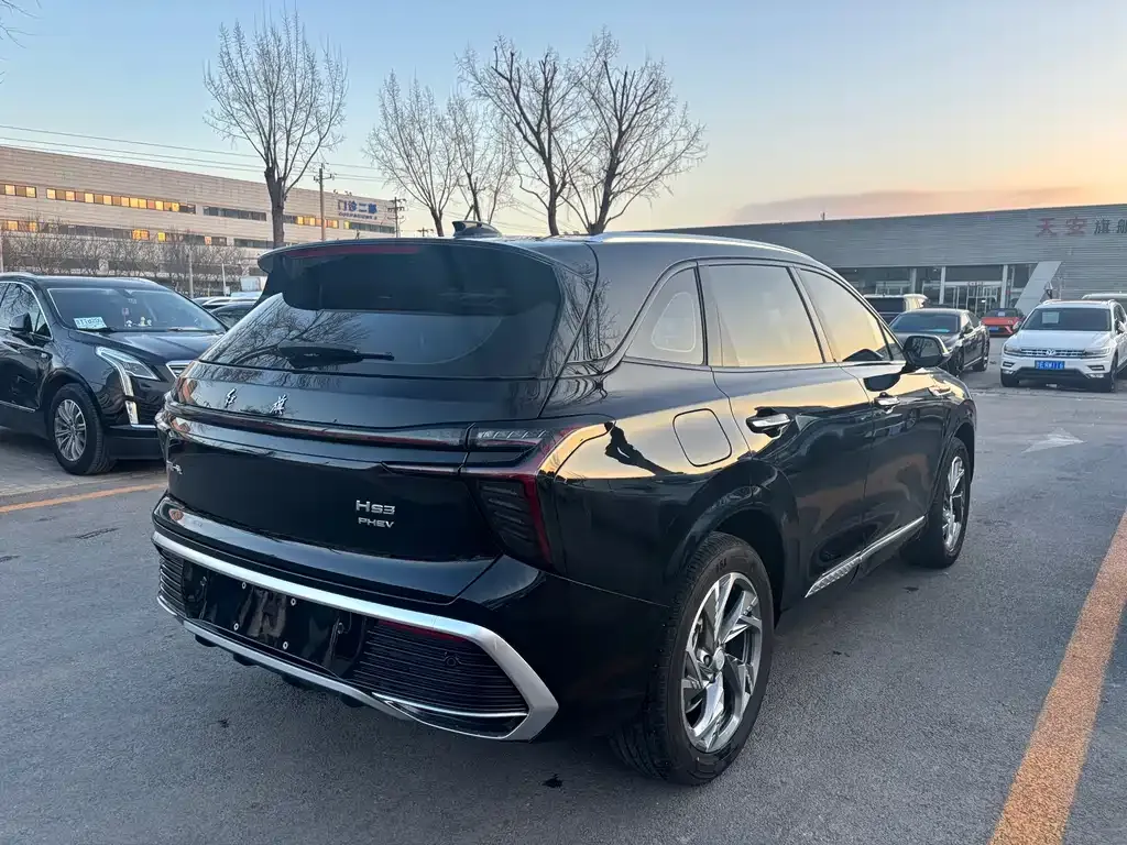 Hongqi HS3 PHEV 2024 из CN, фото 8