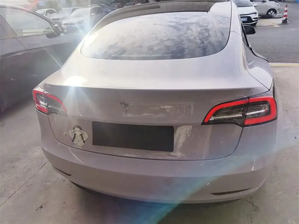 Tesla Model 3 2021 из CN, фото 2