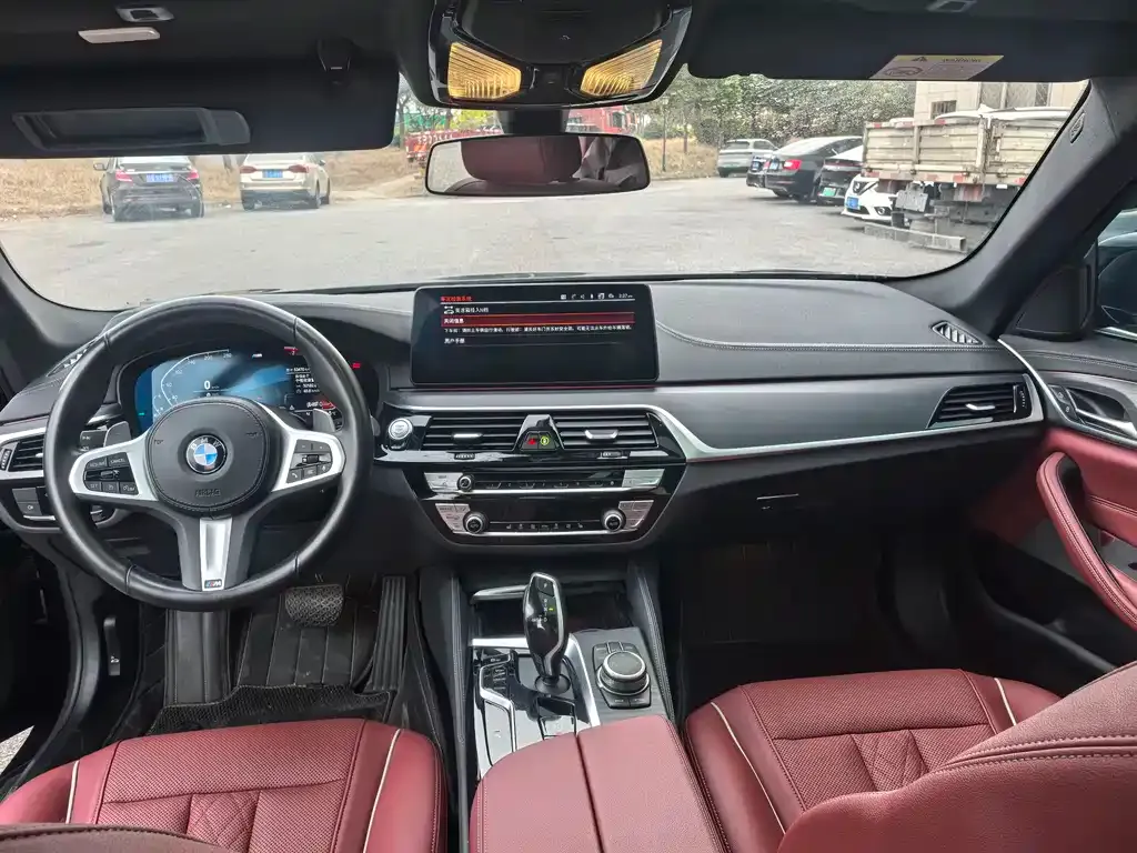 BMW 5 Series 2022 из CN, фото 10
