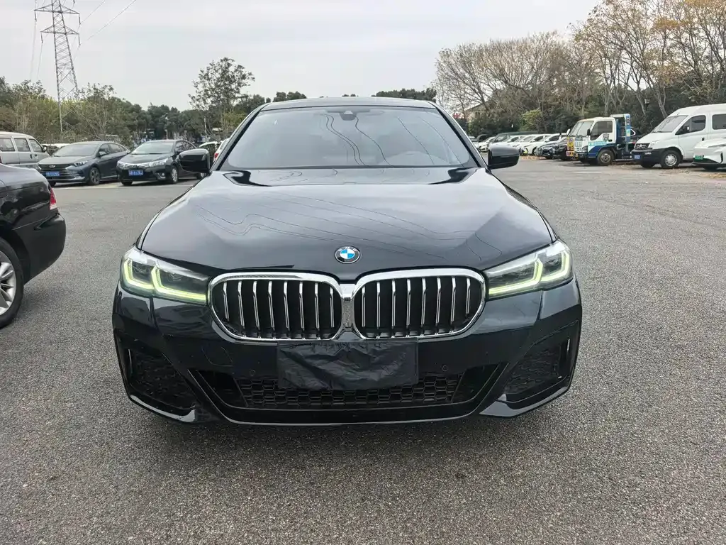 BMW 5 Series 2022 из CN, фото 2