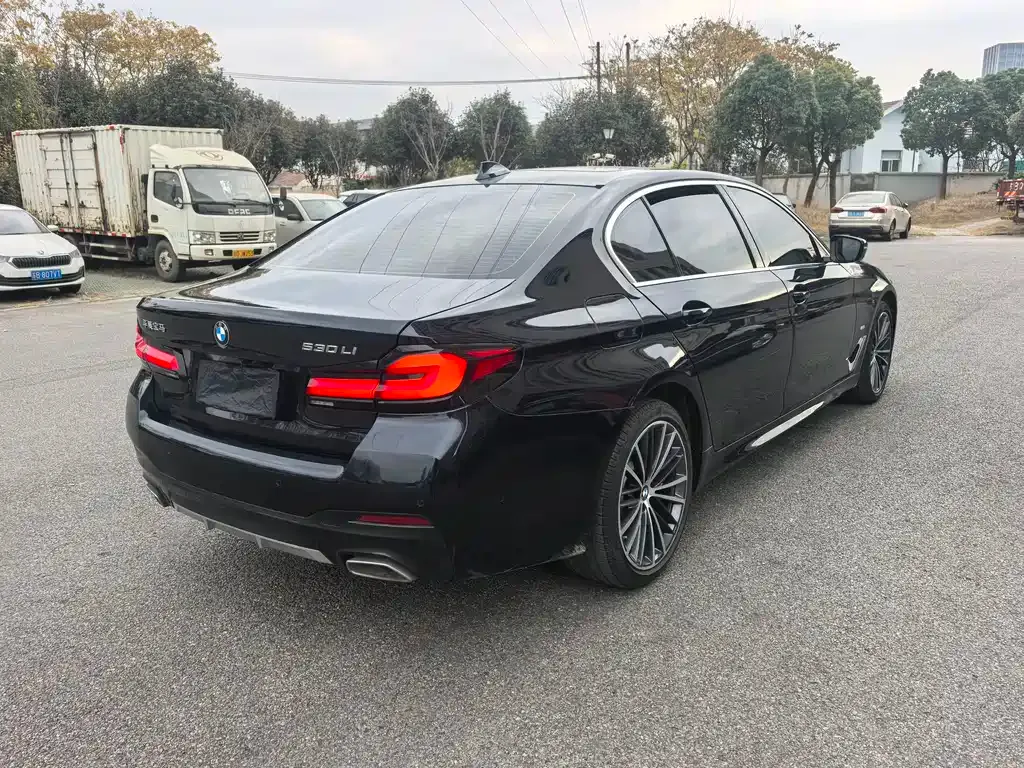 BMW 5 Series 2022 из CN, фото 3