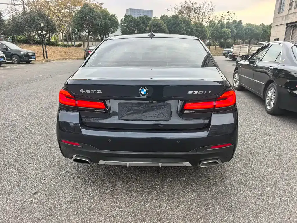BMW 5 Series 2022 из CN, фото 4