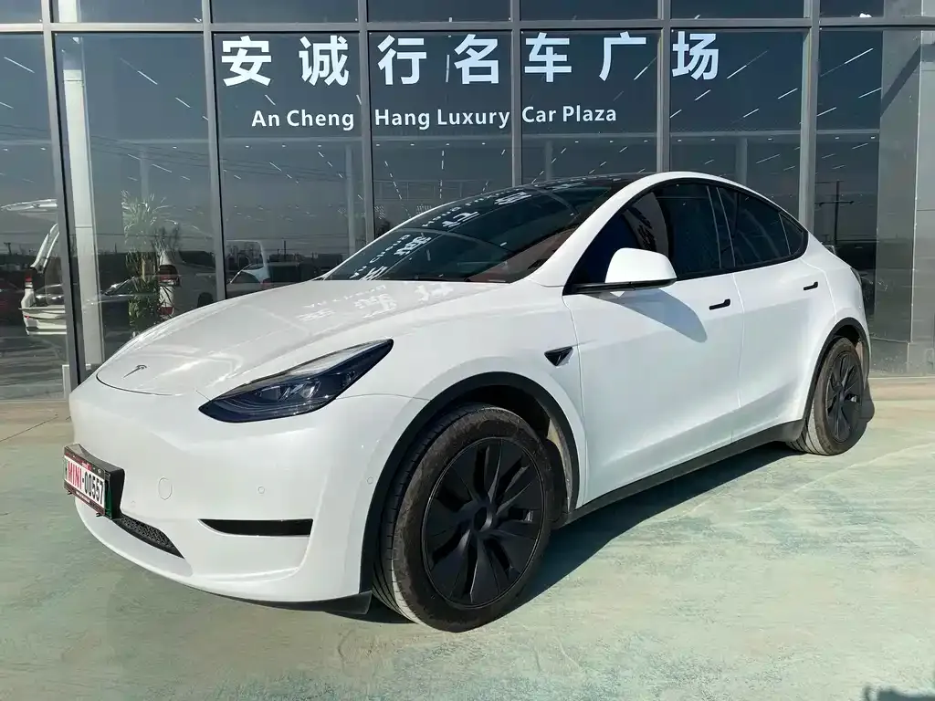 Tesla Model Y 2022 из CN, фото 1