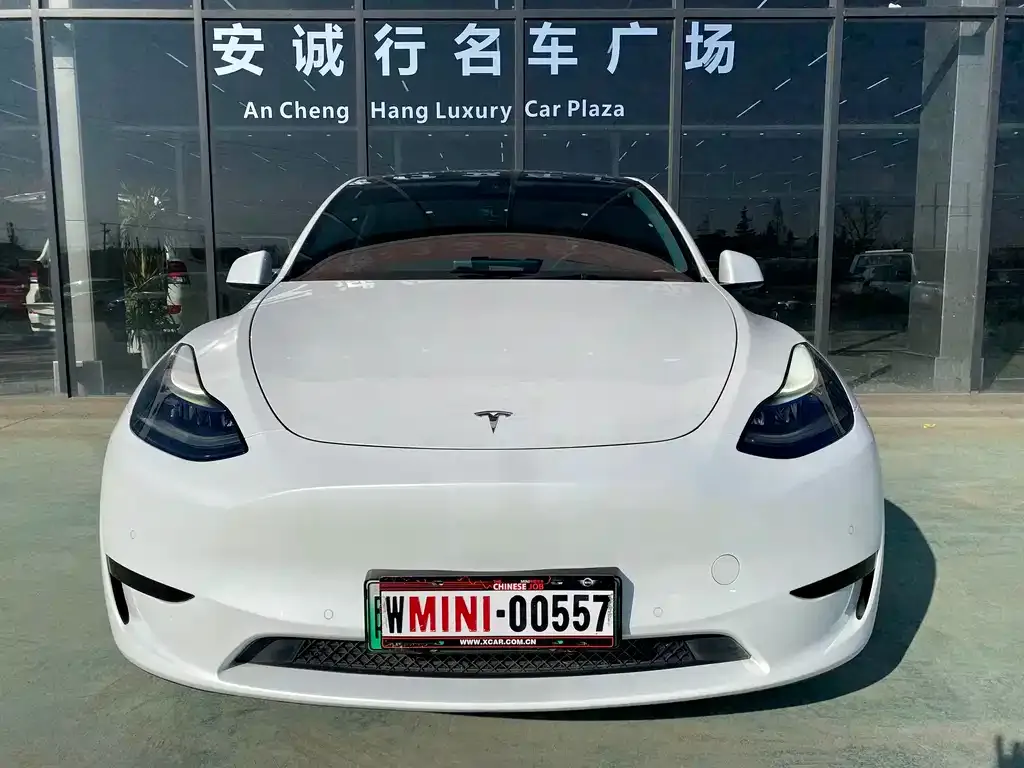Tesla Model Y 2022 из CN, фото 7