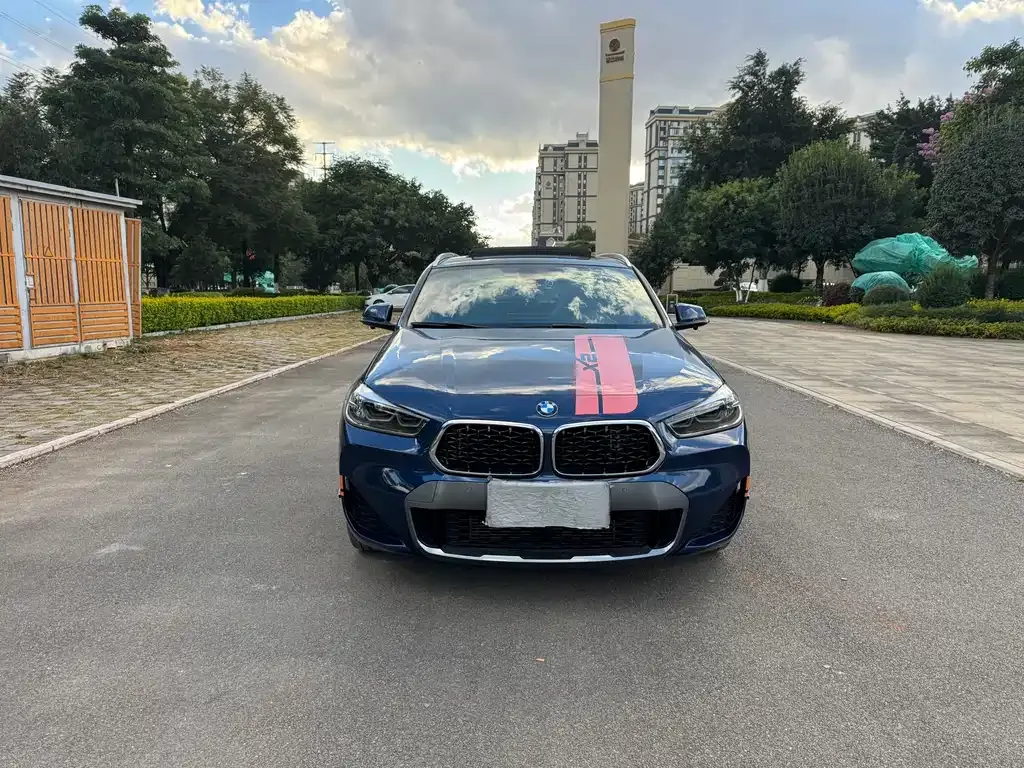 BMW X2 2021 из CN, фото 4