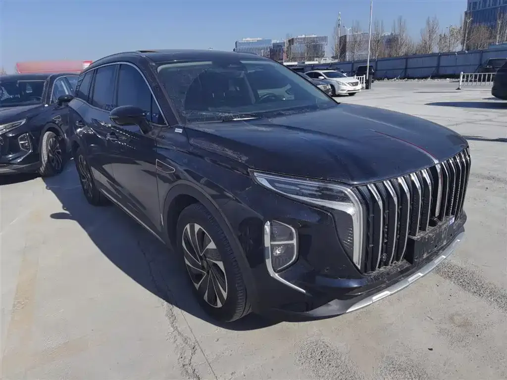 Hongqi HS7 PHEV 2024 из CN, фото 9