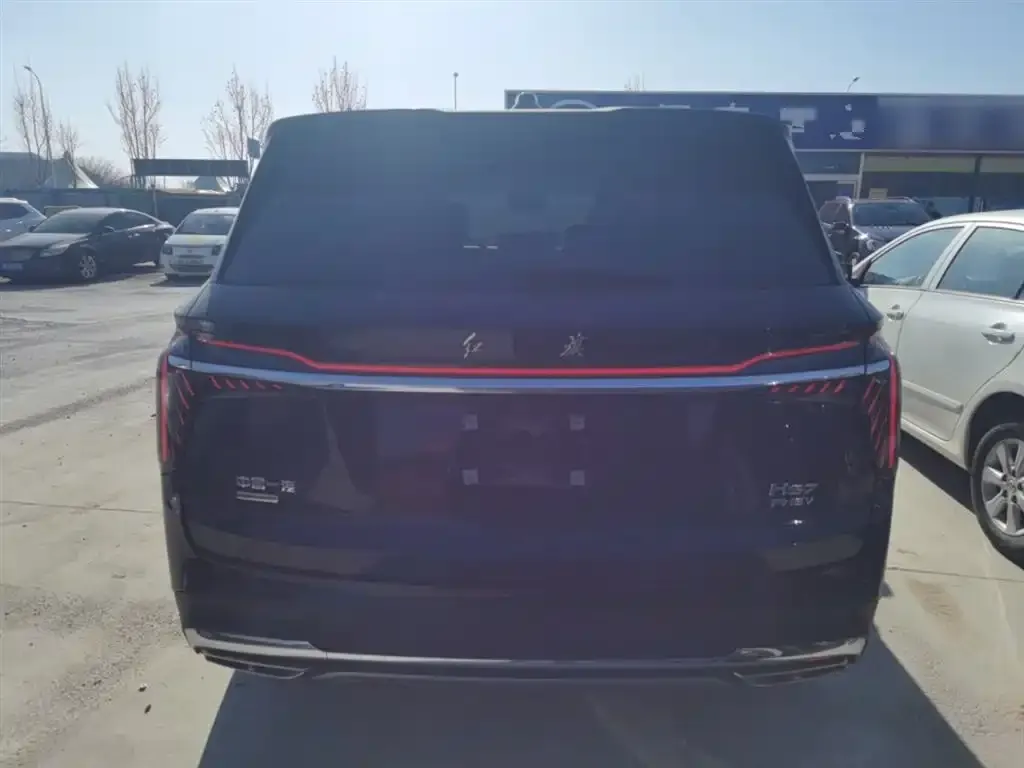 Hongqi HS7 PHEV 2024 из CN, фото 8
