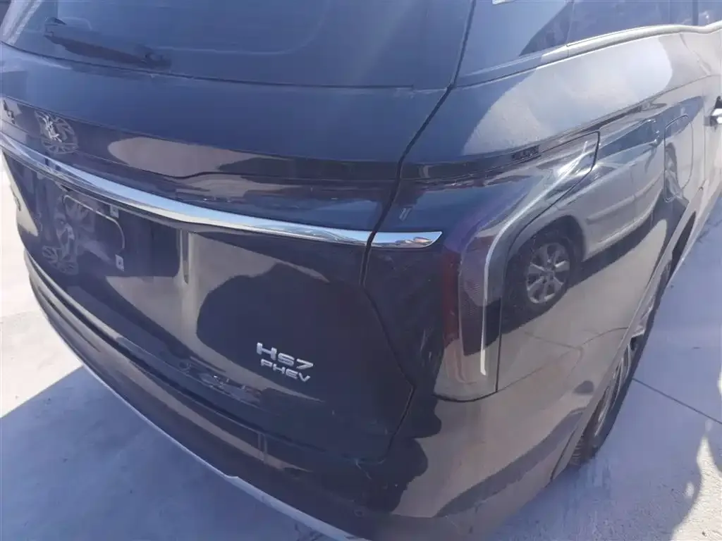Hongqi HS7 PHEV 2024 из CN, фото 4