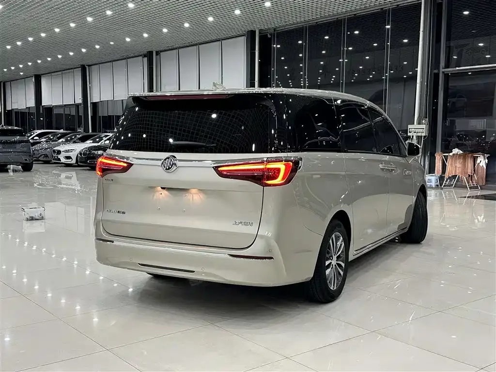 Buick GL8 2023 из CN, фото 9