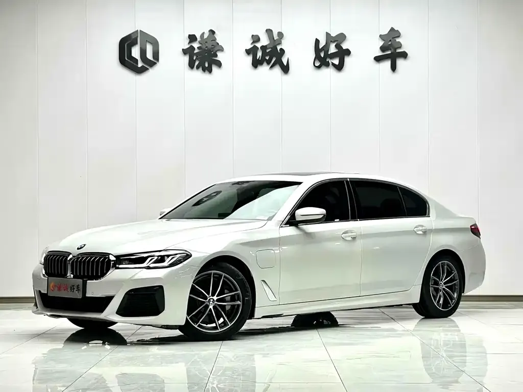 BMW 5 Series New Energy 2022 из CN, фото 1