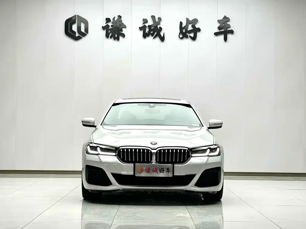 BMW 5 Series New Energy 2022 из CN, фото 3