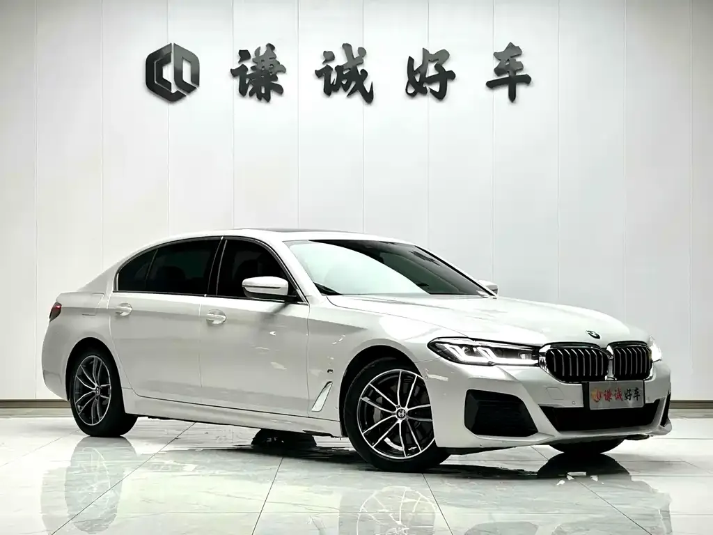 BMW 5 Series New Energy 2022 из CN, фото 4