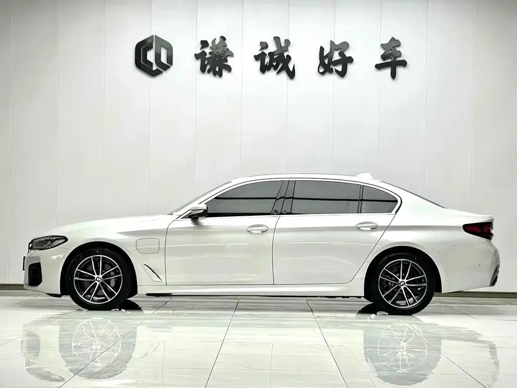 BMW 5 Series New Energy 2022 из CN, фото 9