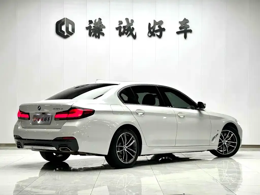 BMW 5 Series New Energy 2022 из CN, фото 2