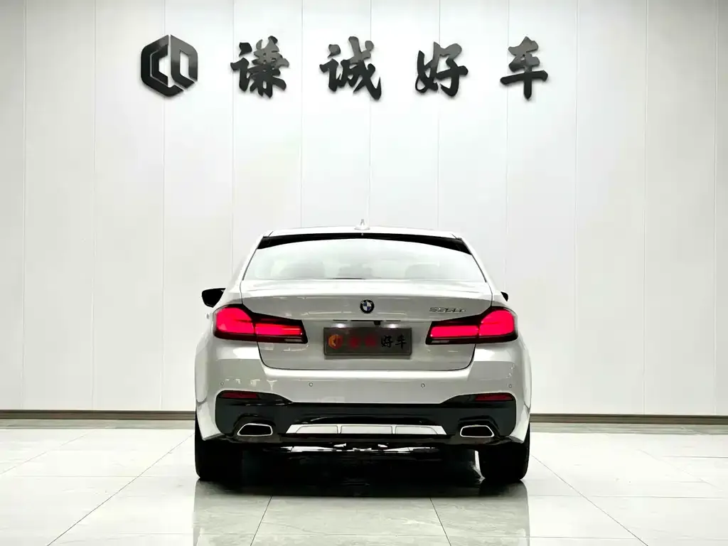 BMW 5 Series New Energy 2022 из CN, фото 7
