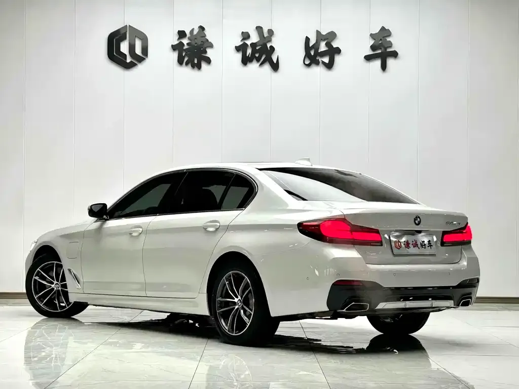 BMW 5 Series New Energy 2022 из CN, фото 6