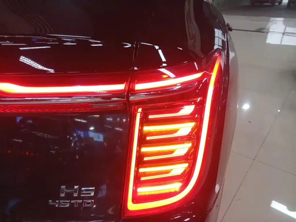 Hongqi H9 2021 из CN, фото 6